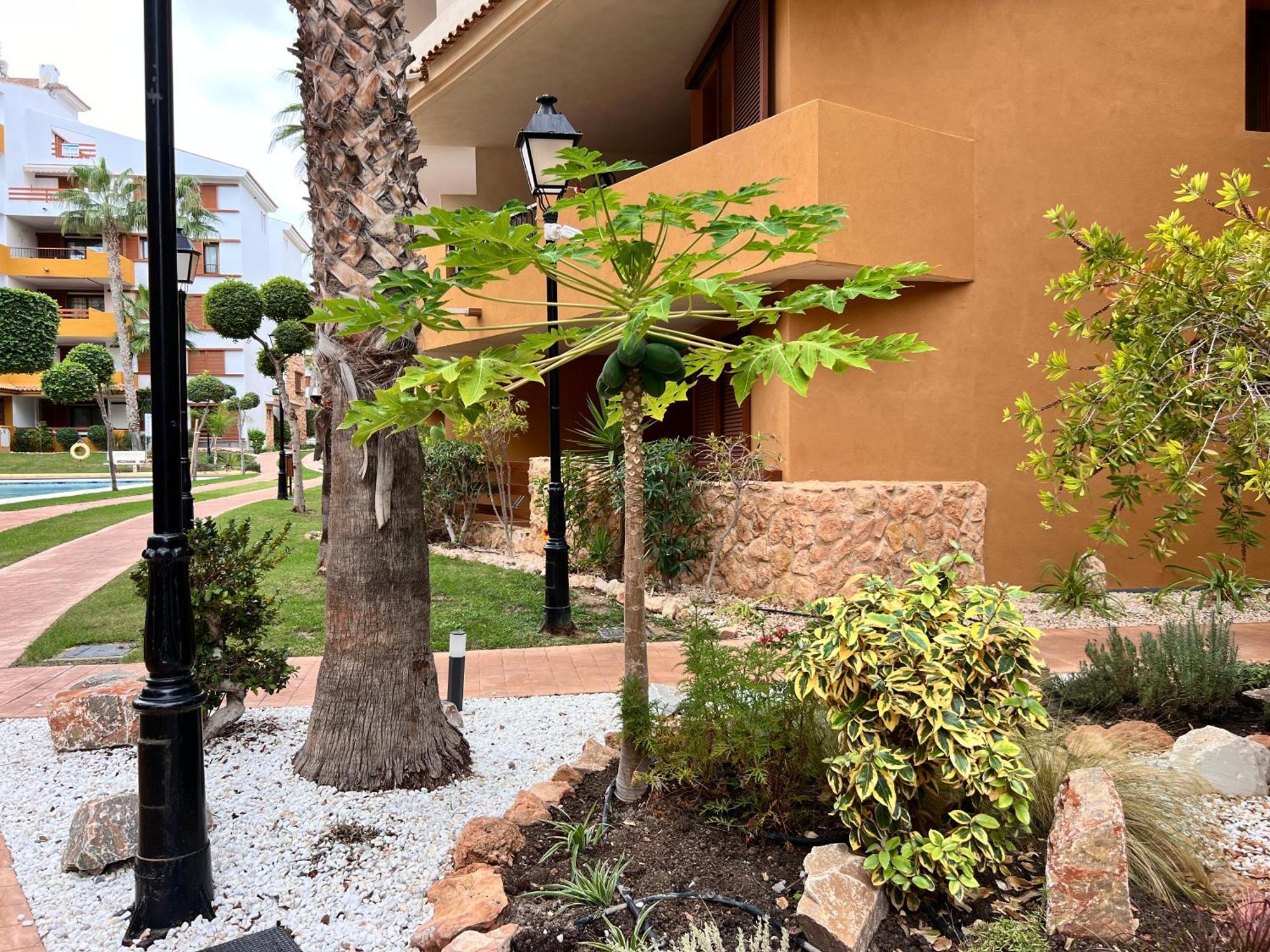 Punta Prima - Sun & Beach & Golf & Bike - Spanish South-Facing Terrace Apartment - La Recoleta - By The Sea Торевьиа Экстерьер фото